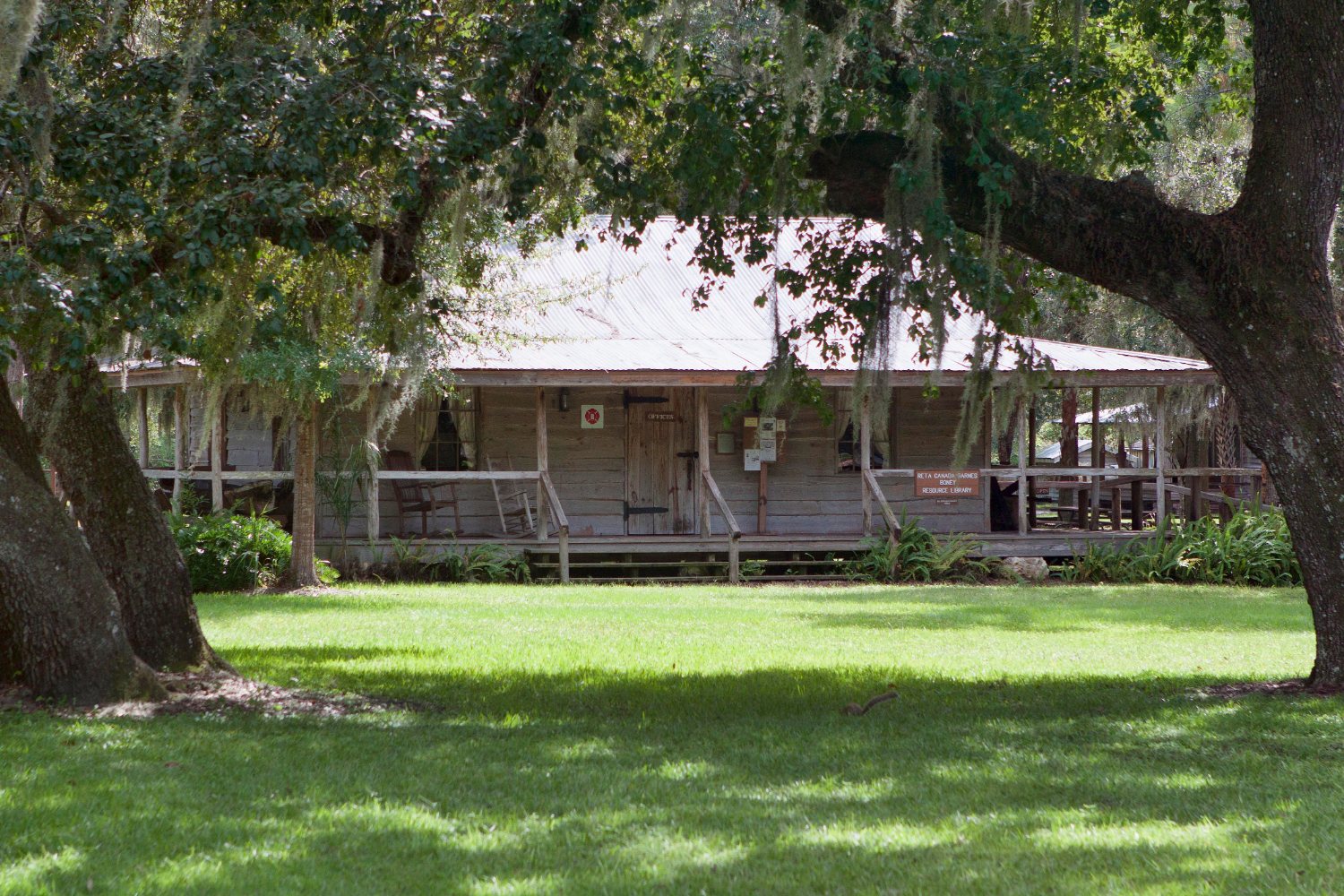 A low wood-frame Cracker house with a tin roof and a deep porch running the full width, raised off the ground and shaded by live oaks draped in Spanish moss.