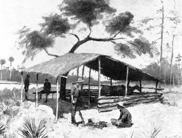 An illustration of flat open range with scattered cattle, low scrub, and a single rider, under a wide pale sky.