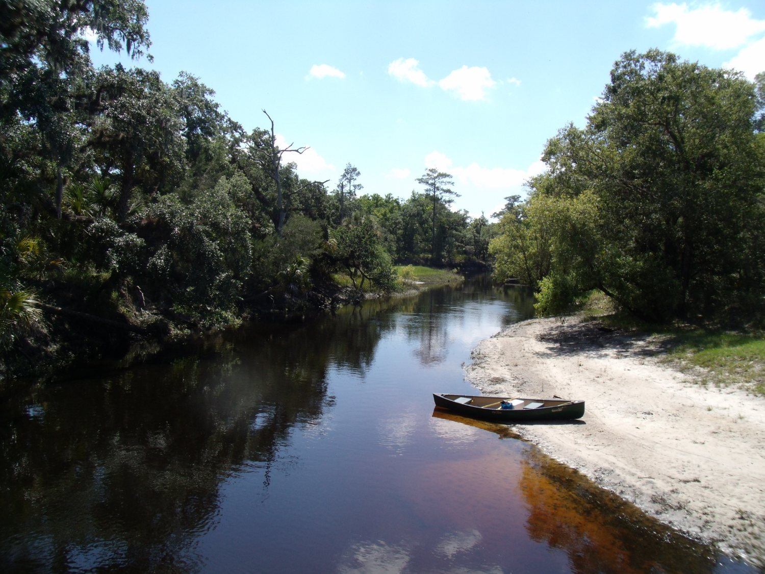 A calm blackwater river curving between banks of cabbage palms, ferns, and moss-draped trees, seen from a trail bridge.